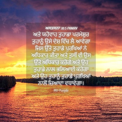 Picture 04 - ਅਸਤਸਨਾ 30:5 PANIRV - ਅਤੇ ਯਹੋਵਾਹ ਤੁਹਾਡਾ - Bible Verse Picture