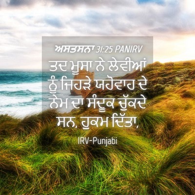 Picture 04 - ਅਸਤਸਨਾ 31:25 PANIRV - ਤਦ ਮੂਸਾ ਨੇ ਲੇਵੀਆਂ - Bible Verse Picture