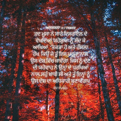 Picture 04 - ਅਸਤਸਨਾ 31:7 PANIRV - ਤਦ ਮੂਸਾ ਨੇ ਸਾਰੇ - Bible Verse Picture