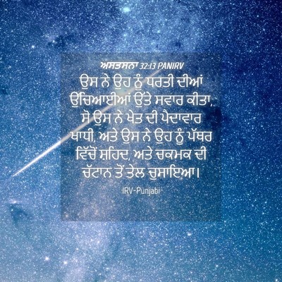 Picture 04 - ਅਸਤਸਨਾ 32:13 PANIRV - ਉਸ ਨੇ ਉਹ ਨੂੰ ਧਰਤੀ - Bible Verse Picture