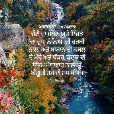 Picture 04 - ਅਸਤਸਨਾ 32:14 PANIRV - ਚੌਣੇ ਦਾ ਮੱਖਣ ਅਤੇ - Bible Verse Picture