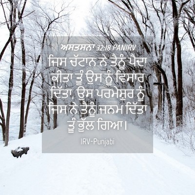 Picture 04 - ਅਸਤਸਨਾ 32:18 PANIRV - ਜਿਸ ਚੱਟਾਨ ਨੇ ਤੈਨੂੰ - Bible Verse Picture