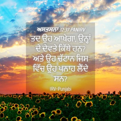 Picture 04 - ਅਸਤਸਨਾ 32:37 PANIRV - ਤਦ ਉਹ ਆਖੇਗਾ, ਉਨ੍ਹਾਂ - Bible Verse Picture