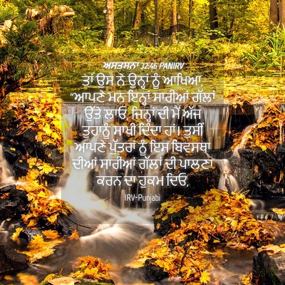Picture 04 - ਅਸਤਸਨਾ 32:46 PANIRV - ਤਾਂ ਉਸ ਨੇ ਉਨ੍ਹਾਂ - Bible Verse Picture