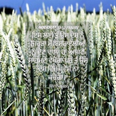 Picture 04 - ਅਸਤਸਨਾ 32:52 PANIRV - ਇਸ ਲਈ ਤੂੰ ਉਸ ਦੇਸ਼ - Bible Verse Picture