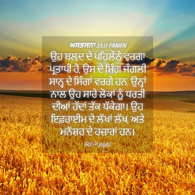 Picture 04 - ਅਸਤਸਨਾ 33:17 PANIRV - ਉਹ ਬਲ਼ਦ ਦੇ ਪਹਿਲੌਠੇ - Bible Verse Picture