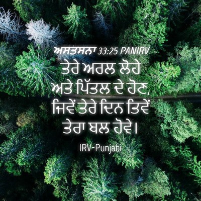 Picture 04 - ਅਸਤਸਨਾ 33:25 PANIRV - ਤੇਰੇ ਅਰਲ ਲੋਹੇ ਅਤੇ - Bible Verse Picture