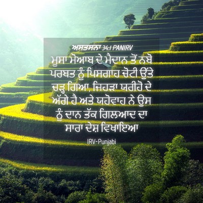 Picture 04 - ਅਸਤਸਨਾ 34:1 PANIRV - ਮੂਸਾ ਮੋਆਬ ਦੇ ਮੈਦਾਨ - Bible Verse Picture