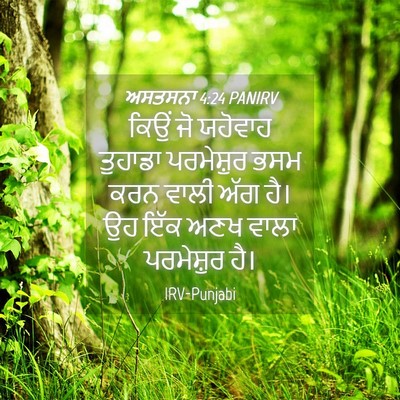Picture 04 - ਅਸਤਸਨਾ 4:24 PANIRV - ਕਿਉਂ ਜੋ ਯਹੋਵਾਹ - Bible Verse Picture