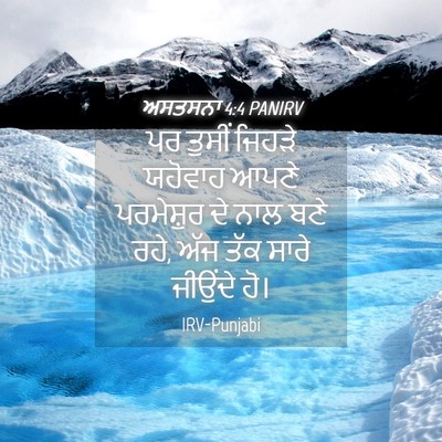 Picture 04 - ਅਸਤਸਨਾ 4:4 PANIRV - ਪਰ ਤੁਸੀਂ ਜਿਹੜੇ - Bible Verse Picture