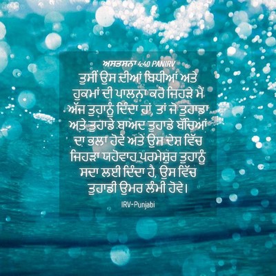Picture 04 - ਅਸਤਸਨਾ 4:40 PANIRV - ਤੁਸੀਂ ਉਸ ਦੀਆਂ - Bible Verse Picture