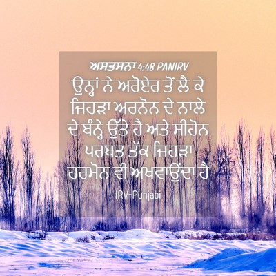 Picture 04 - ਅਸਤਸਨਾ 4:48 PANIRV - ਉਨ੍ਹਾਂ ਨੇ ਅਰੋਏਰ - Bible Verse Picture