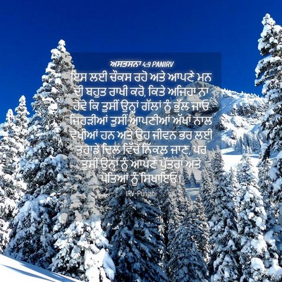 Picture 04 - ਅਸਤਸਨਾ 4:9 PANIRV - ਇਸ ਲਈ ਚੌਕਸ ਰਹੋ ਅਤੇ - Bible Verse Picture