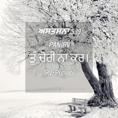 Picture 04 - ਅਸਤਸਨਾ 5:19 PANIRV - ਤੂੰ ਚੋਰੀ ਨਾ - Bible Verse Picture