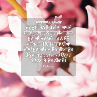 Picture 04 - ਅਸਤਸਨਾ 5:28 PANIRV - ਜਦ ਤੁਸੀਂ ਮੈਨੂੰ ਇਹ - Bible Verse Picture