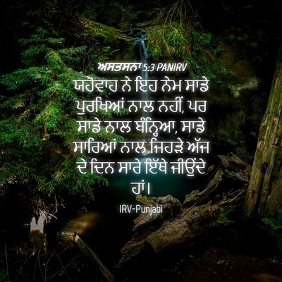 Picture 04 - ਅਸਤਸਨਾ 5:3 PANIRV - ਯਹੋਵਾਹ ਨੇ ਇਹ ਨੇਮ - Bible Verse Picture