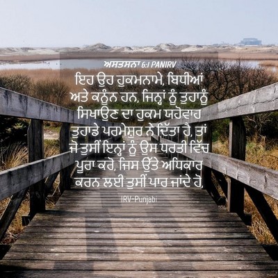 Picture 04 - ਅਸਤਸਨਾ 6:1 PANIRV - ਇਹ ਉਹ ਹੁਕਮਨਾਮੇ, - Bible Verse Picture