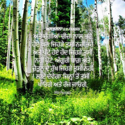 Picture 04 - ਅਸਤਸਨਾ 6:11 PANIRV - ਅਤੇ ਚੰਗੀਆਂ ਚੀਜ਼ਾਂ - Bible Verse Picture