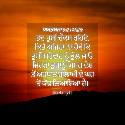 Picture 04 - ਅਸਤਸਨਾ 6:12 PANIRV - ਤਦ ਤੁਸੀਂ ਚੌਕਸ ਰਹਿਓ, - Bible Verse Picture