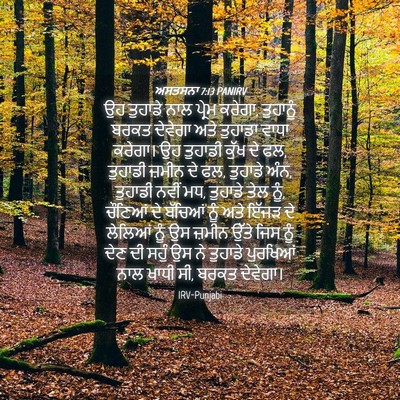 Picture 04 - ਅਸਤਸਨਾ 7:13 PANIRV - ਉਹ ਤੁਹਾਡੇ ਨਾਲ - Bible Verse Picture