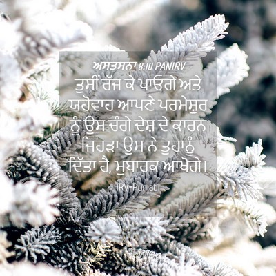 Picture 04 - ਅਸਤਸਨਾ 8:10 PANIRV - ਤੁਸੀਂ ਰੱਜ ਕੇ ਖਾਓਗੇ - Bible Verse Picture