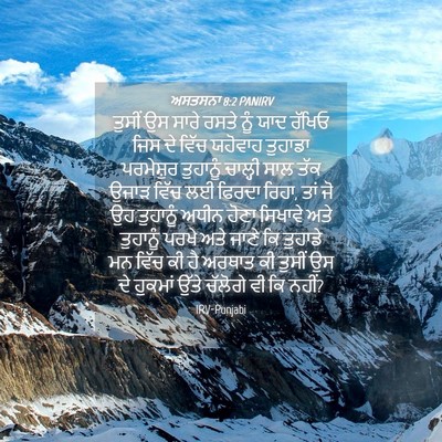 Picture 04 - ਅਸਤਸਨਾ 8:2 PANIRV - ਤੁਸੀਂ ਉਸ ਸਾਰੇ ਰਸਤੇ - Bible Verse Picture