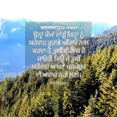 Picture 04 - ਅਸਤਸਨਾ 8:20 PANIRV - ਉਨ੍ਹਾਂ ਕੌਮਾਂ - Bible Verse Picture