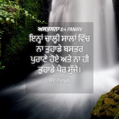 Picture 04 - ਅਸਤਸਨਾ 8:4 PANIRV - ਇਨ੍ਹਾਂ ਚਾਲ੍ਹੀ - Bible Verse Picture