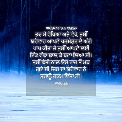 Picture 04 - ਅਸਤਸਨਾ 9:16 PANIRV - ਤਦ ਮੈਂ ਵੇਖਿਆ ਅਤੇ - Bible Verse Picture