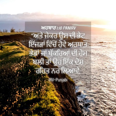 Picture 04 - ਅਹਬਾਰ 1:10 PANIRV - “ਅਤੇ ਜੇਕਰ ਉਸ ਦੀ ਭੇਟ - Bible Verse Picture