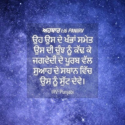 Picture 04 - ਅਹਬਾਰ 1:16 PANIRV - ਉਹ ਉਸ ਦੇ ਖੰਭਾਂ ਸਮੇਤ - Bible Verse Picture