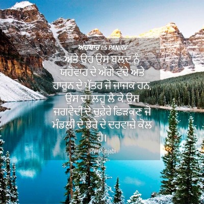 Picture 04 - ਅਹਬਾਰ 1:5 PANIRV - ਅਤੇ ਉਹ ਉਸ ਬਲ਼ਦ ਨੂੰ - Bible Verse Picture