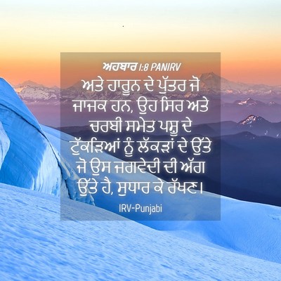 Picture 04 - ਅਹਬਾਰ 1:8 PANIRV - ਅਤੇ ਹਾਰੂਨ ਦੇ ਪੁੱਤਰ - Bible Verse Picture