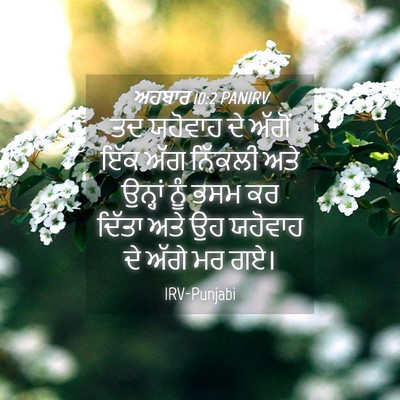 Picture 04 - ਅਹਬਾਰ 10:2 PANIRV - ਤਦ ਯਹੋਵਾਹ ਦੇ ਅੱਗੋਂ - Bible Verse Picture