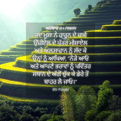 Picture 04 - ਅਹਬਾਰ 10:4 PANIRV - ਤਦ ਮੂਸਾ ਨੇ ਹਾਰੂਨ ਦੇ - Bible Verse Picture