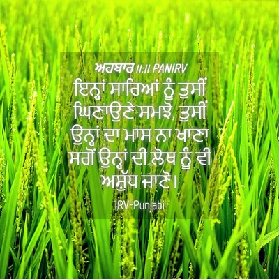 Picture 04 - ਅਹਬਾਰ 11:11 PANIRV - ਇਨ੍ਹਾਂ ਸਾਰਿਆਂ ਨੂੰ - Bible Verse Picture