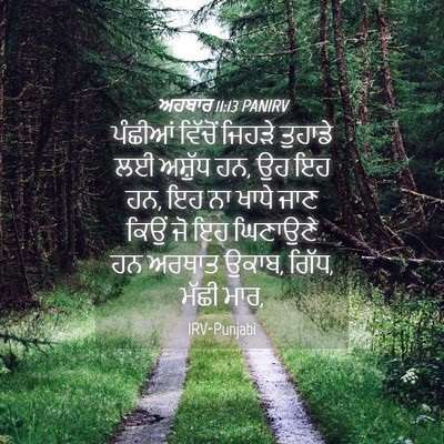 Picture 04 - ਅਹਬਾਰ 11:13 PANIRV - ਪੰਛੀਆਂ ਵਿੱਚੋਂ - Bible Verse Picture
