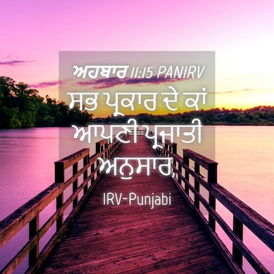 Picture 04 - ਅਹਬਾਰ 11:15 PANIRV - ਸਭ ਪ੍ਰਕਾਰ ਦੇ ਕਾਂ - Bible Verse Picture