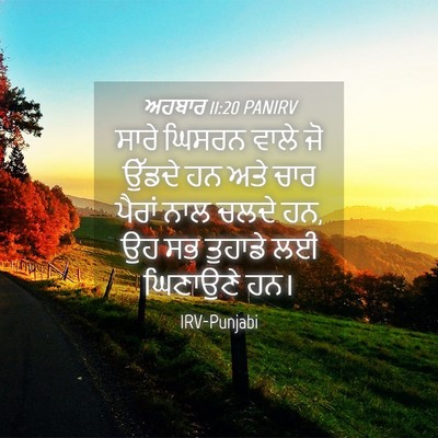 Picture 04 - ਅਹਬਾਰ 11:20 PANIRV - ਸਾਰੇ ਘਿਸਰਨ ਵਾਲੇ ਜੋ - Bible Verse Picture