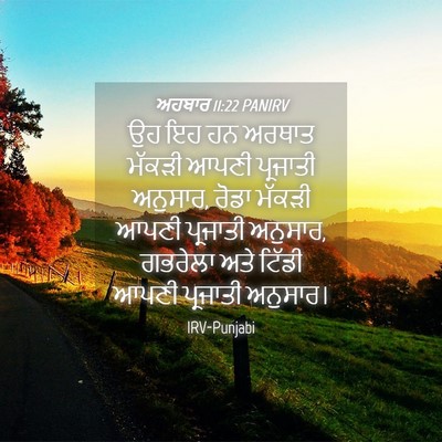 Picture 04 - ਅਹਬਾਰ 11:22 PANIRV - ਉਹ ਇਹ ਹਨ ਅਰਥਾਤ - Bible Verse Picture