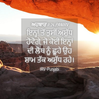 Picture 04 - ਅਹਬਾਰ 11:24 PANIRV - ਇਨ੍ਹਾਂ ਤੋਂ ਤੁਸੀਂ - Bible Verse Picture