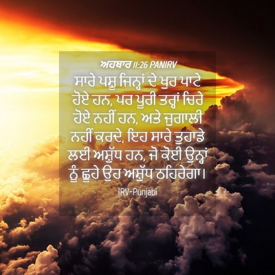 Picture 04 - ਅਹਬਾਰ 11:26 PANIRV - ਸਾਰੇ ਪਸ਼ੂ ਜਿਨ੍ਹਾਂ - Bible Verse Picture