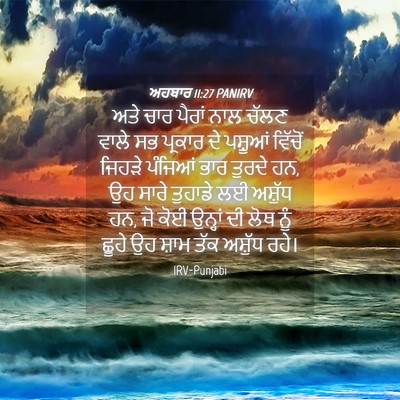 Picture 04 - ਅਹਬਾਰ 11:27 PANIRV - ਅਤੇ ਚਾਰ ਪੈਰਾਂ ਨਾਲ - Bible Verse Picture