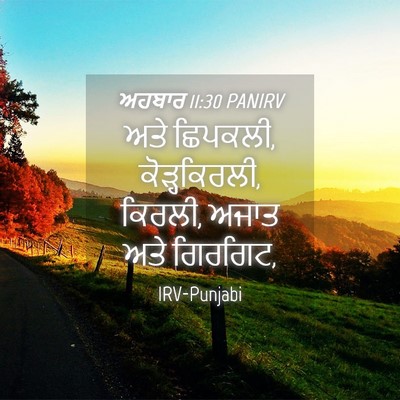 Picture 04 - ਅਹਬਾਰ 11:30 PANIRV - ਅਤੇ ਛਿਪਕਲੀ, - Bible Verse Picture