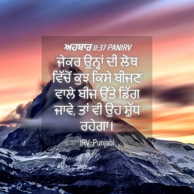 Picture 04 - ਅਹਬਾਰ 11:37 PANIRV - ਜੇਕਰ ਉਨ੍ਹਾਂ ਦੀ ਲੋਥ - Bible Verse Picture