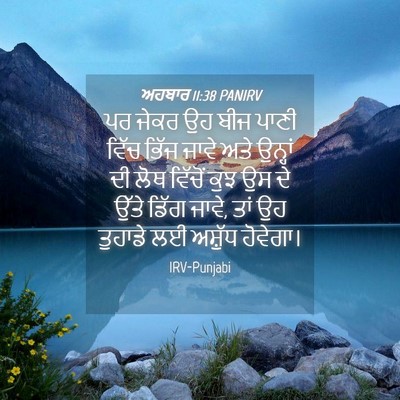 Picture 04 - ਅਹਬਾਰ 11:38 PANIRV - ਪਰ ਜੇਕਰ ਉਹ ਬੀਜ ਪਾਣੀ - Bible Verse Picture