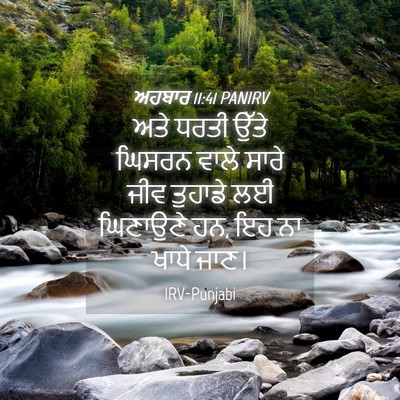 Picture 04 - ਅਹਬਾਰ 11:41 PANIRV - ਅਤੇ ਧਰਤੀ ਉੱਤੇ - Bible Verse Picture