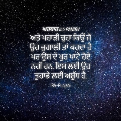 Picture 04 - ਅਹਬਾਰ 11:5 PANIRV - ਅਤੇ ਪਹਾੜੀ ਚੂਹਾ - Bible Verse Picture