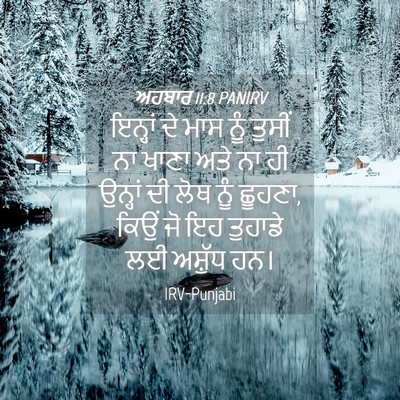 Picture 04 - ਅਹਬਾਰ 11:8 PANIRV - ਇਨ੍ਹਾਂ ਦੇ ਮਾਸ ਨੂੰ - Bible Verse Picture