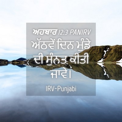 Picture 04 - ਅਹਬਾਰ 12:3 PANIRV - ਅੱਠਵੇਂ ਦਿਨ ਮੁੰਡੇ - Bible Verse Picture